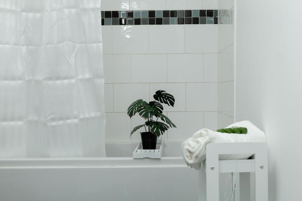 Spacious City Centre 2 Bedroom Apartment - Lt Apartment Лестер Екстер'єр фото